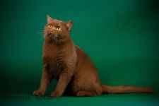 1 ��� �����