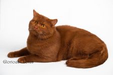 1 ��� �����