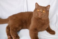 7 �������