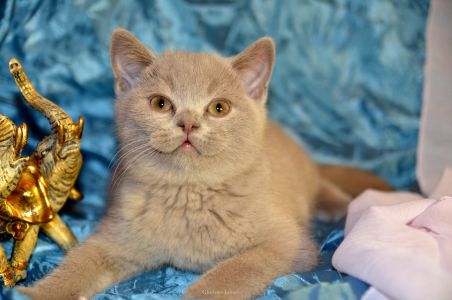 2,5 ������