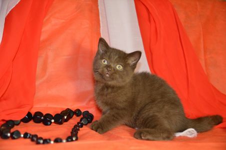 2,5 ������