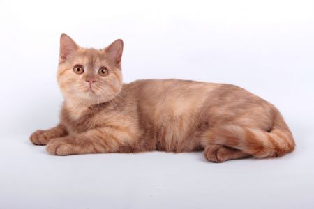 4 ������