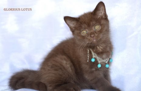 ����� 2 ������