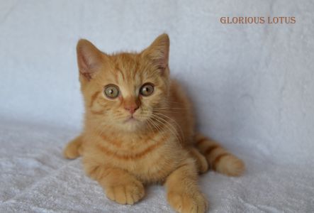 3 ������