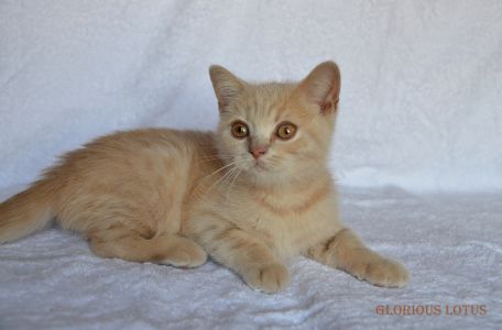 3 ������