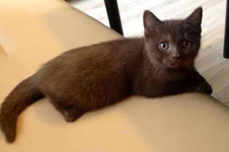 �������� � ����� ����