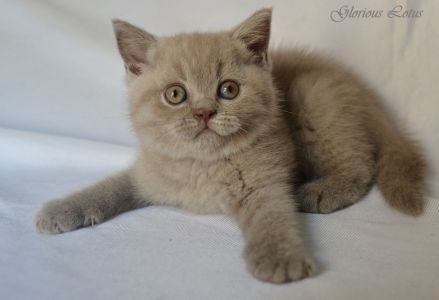 1 ���. 21 ����