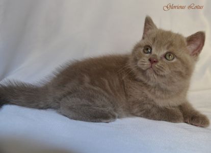 1 ���. 21 ����