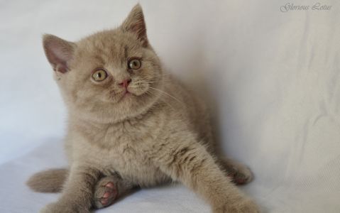 1 ���. 21 ����