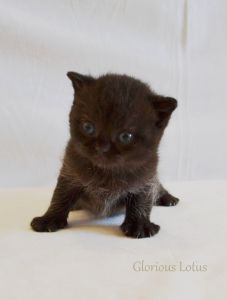 ����� 3 ������