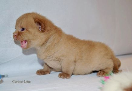 ����� 3 ������