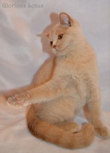 3,5 ������