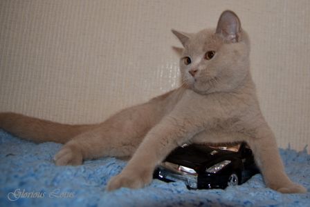 3 ������ 26 ����