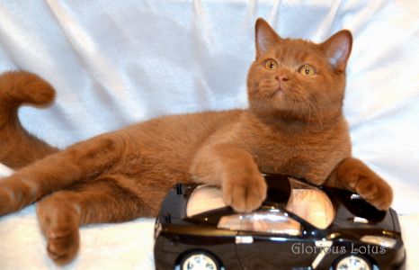 4 ���. 25 ����