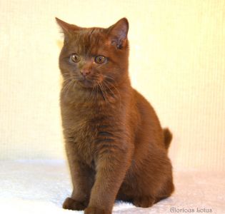 4,5 ������