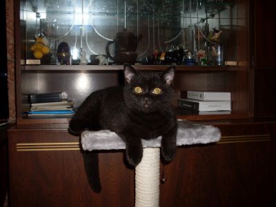 4 ������