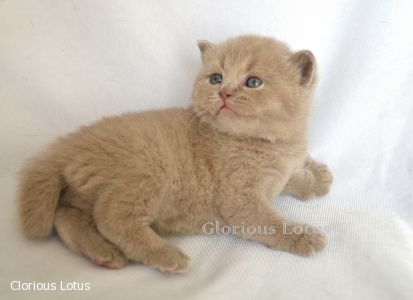 � 3 ��������