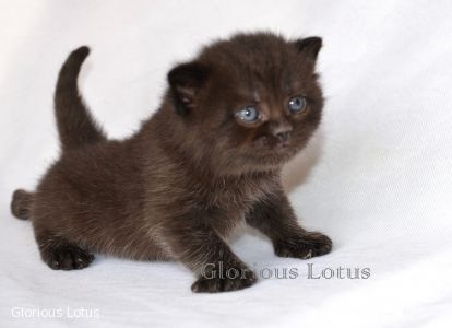 � 3 ��������