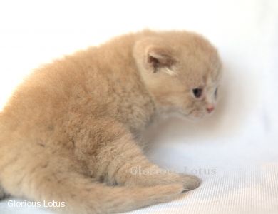 � 3 ��������