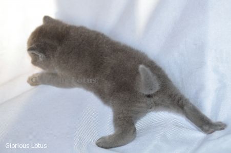 � 3 ��������