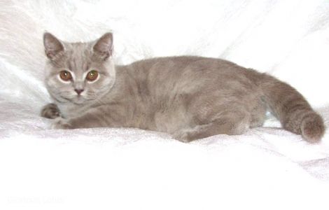 6 �������.