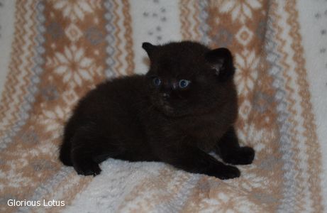 3 ������