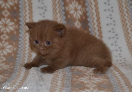 3 ������