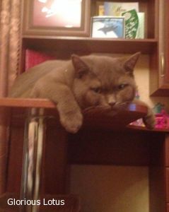 5 �������