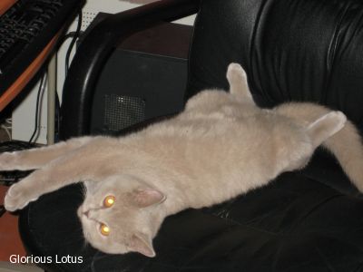 6 �������