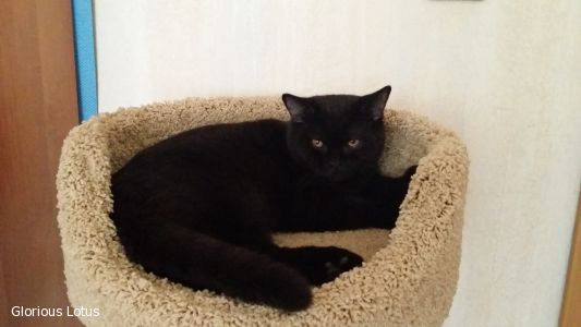 6 �������